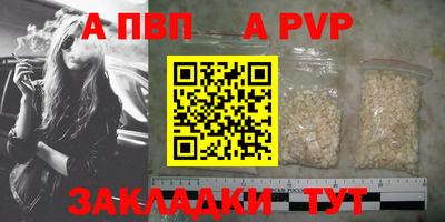 стаф Бузулук