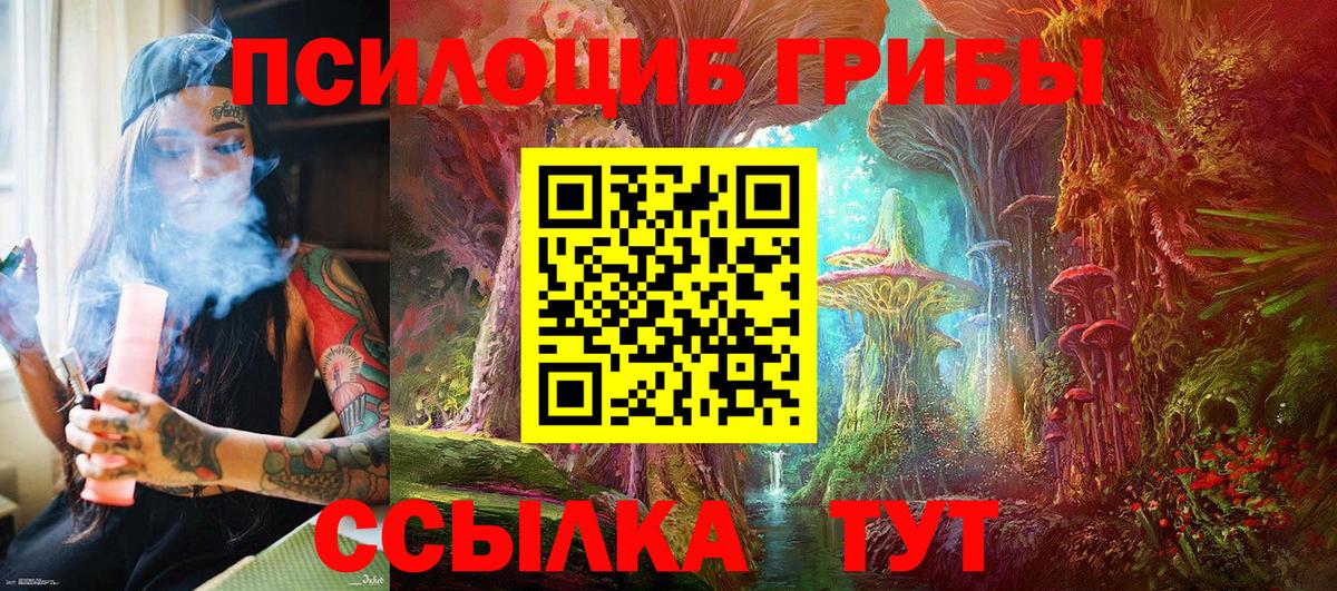 Нижний Новгород  Псилоцибиновые грибы Magic Shrooms  Галлюциногенные грибы MAGIC MUSHROOMS  Вход с VPN 